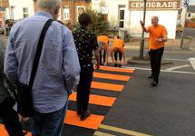 Campaign for Tiger Crossings